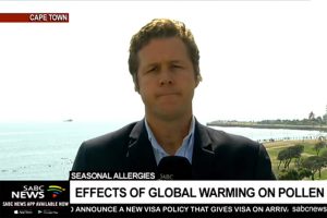 Pollen deposits global warming